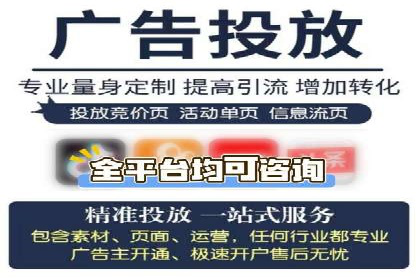 SEM专员案例：数据分析与优化